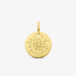 Médaille or jaune 750 °/°° 