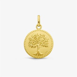 Médaille or jaune 750 °/°°...